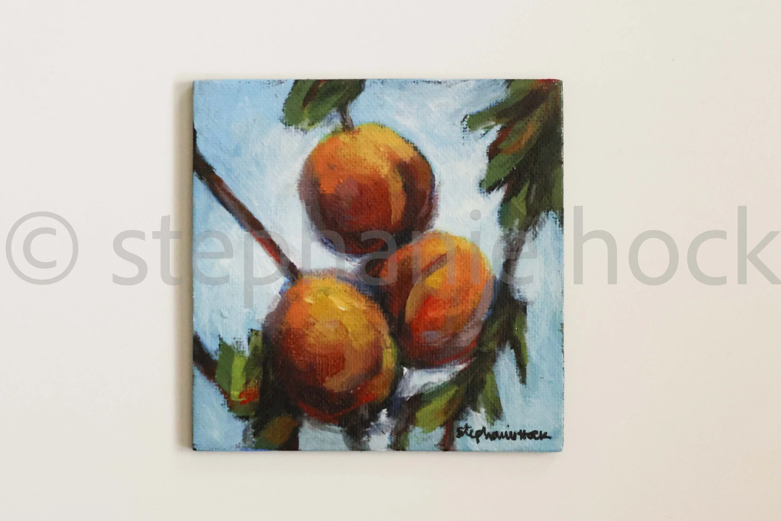 Red Cherries — Stephanie Hock Fine Art